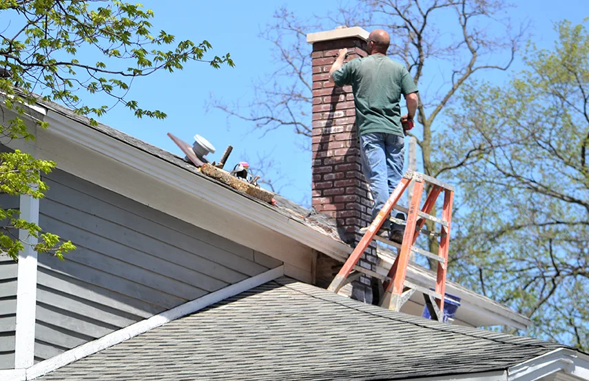 Chimney & Fireplace Inspections Services in League City, TX